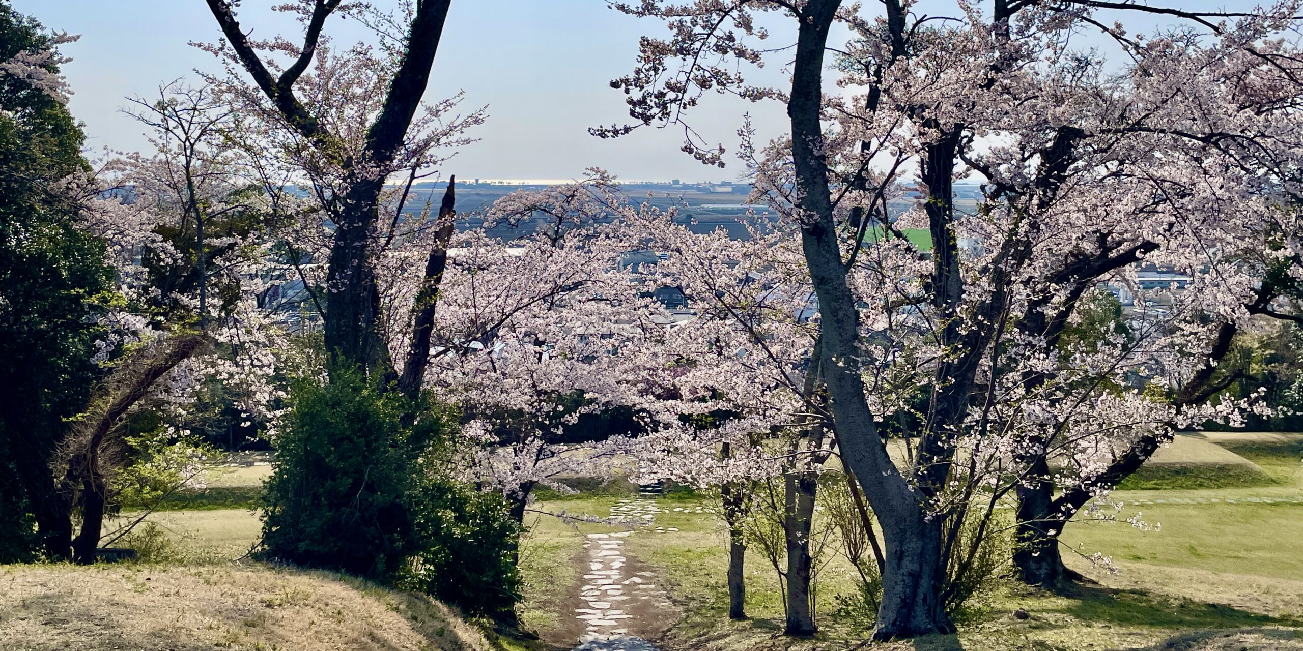 秘密的軟式網球聖地和東北最大的古代遺跡之- 立越神社和來神山古墳 -.