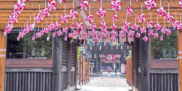 在日本三大稻荷之一——竹駒神社祈求開運
